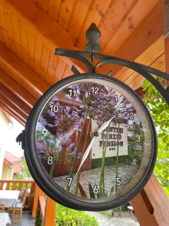 Bed and Breakfast Szentesi Panzio Фертёракош Экстерьер фото