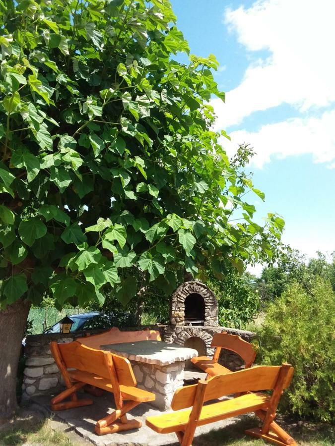 Bed and Breakfast Szentesi Panzio Фертёракош Экстерьер фото