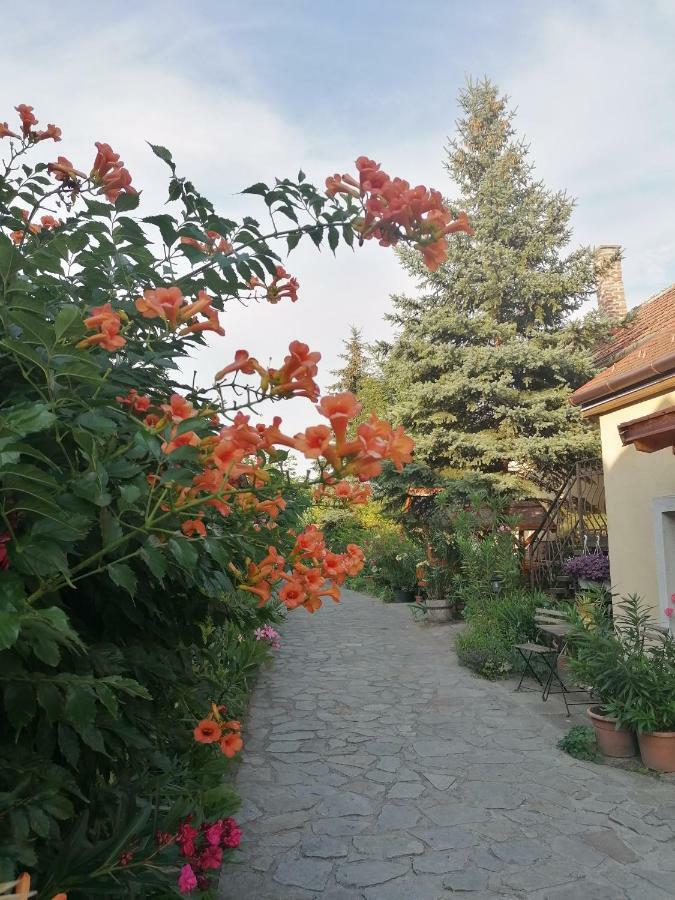 Bed and Breakfast Szentesi Panzio Фертёракош Экстерьер фото
