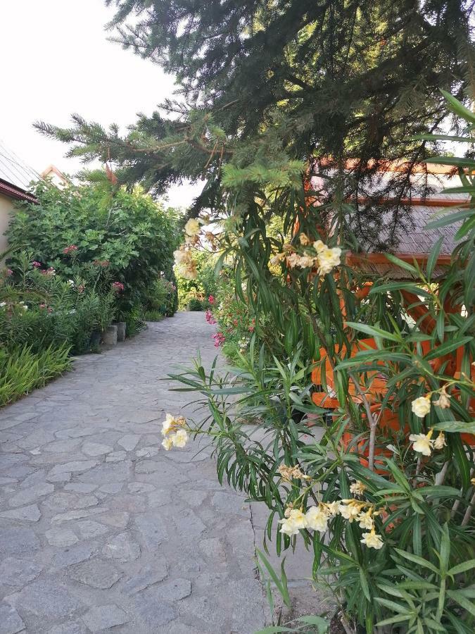 Bed and Breakfast Szentesi Panzio Фертёракош Экстерьер фото
